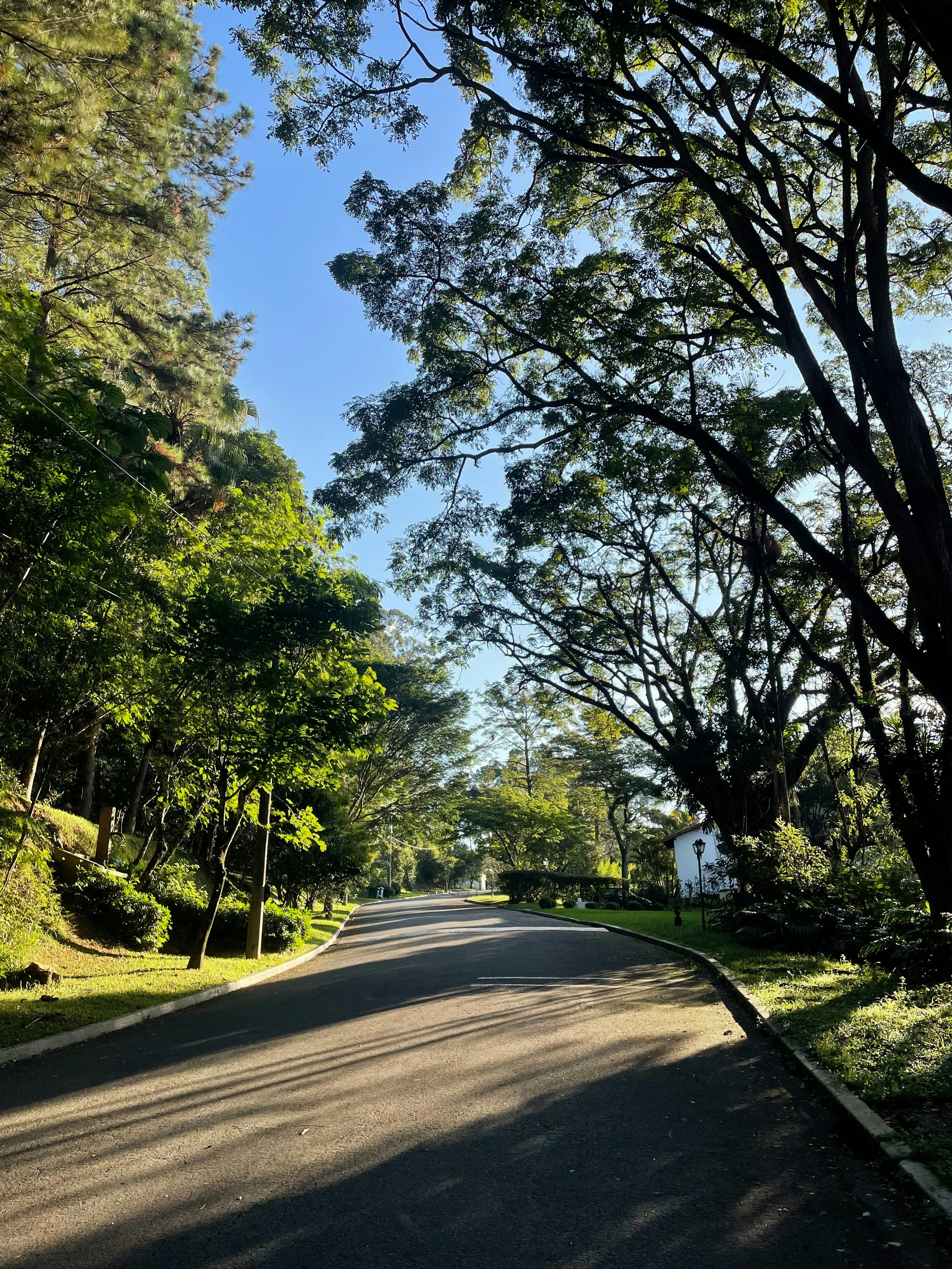 Driveway & Sealing