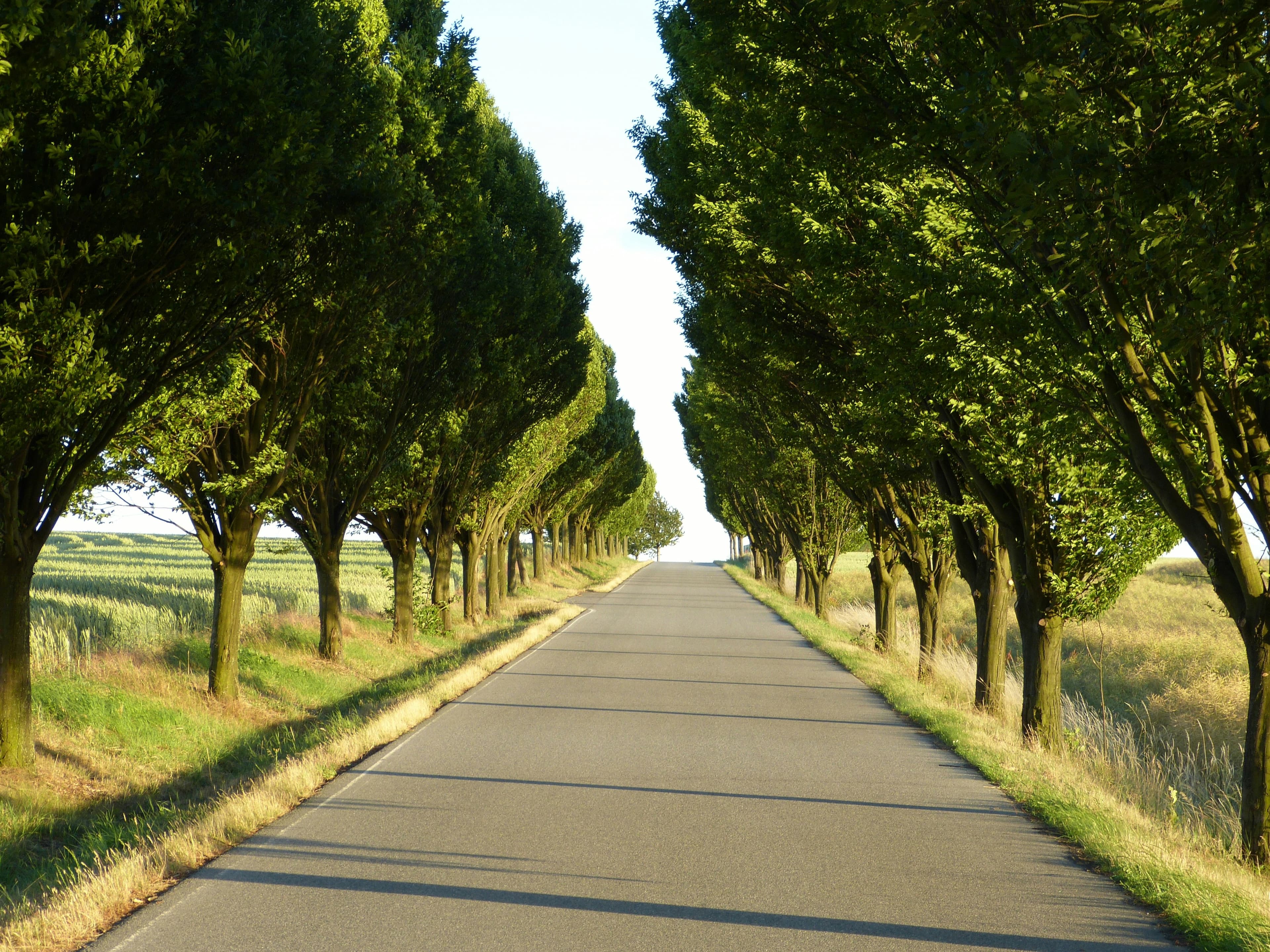 Driveway Paving